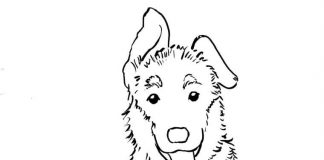 Coloring book of shaggy dog with tongue sticking out