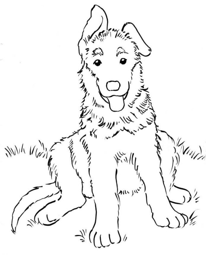 Coloring book of shaggy dog with tongue sticking out