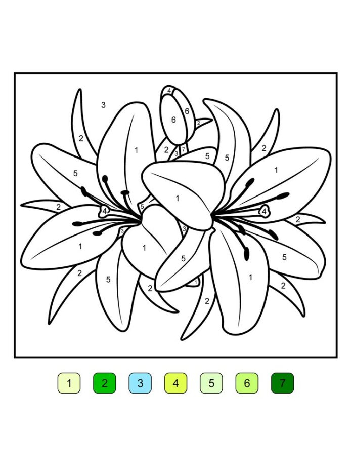 Flower coloring book with numbers and colors