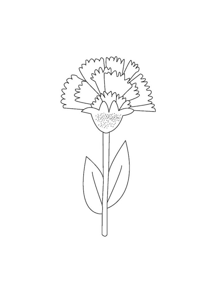 foglio da colorare fiore garofano su uno stelo