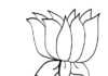 Färbung Seite Lotusblume auf Seerose druckbar für Kinder