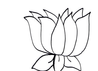 färgsida lotusblomma på vattenlilja att skriva ut för barn