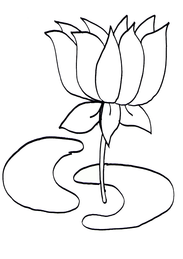 página para colorear flor de loto sobre lirio de agua imprimible para niños