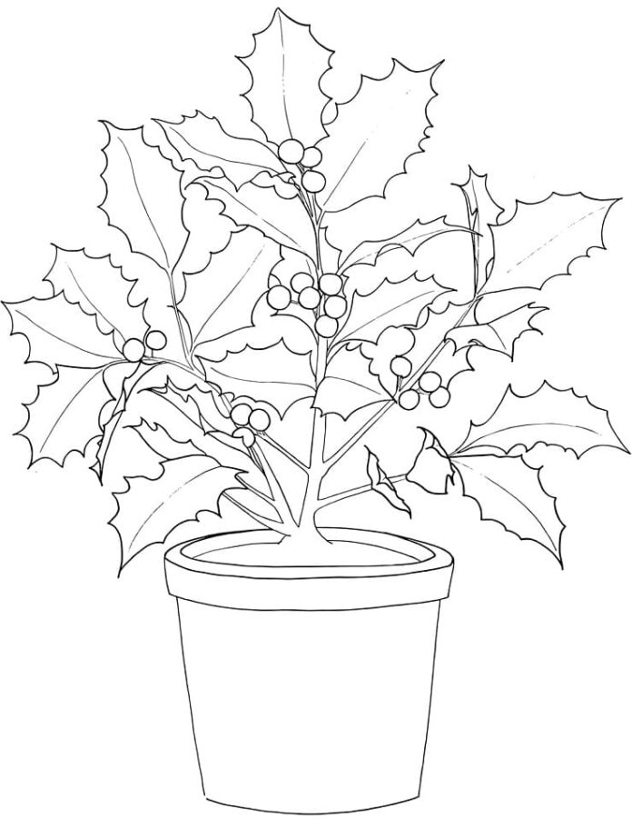 Coloring book poinsettia flower in a pot