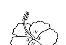 coloring book flower for small children