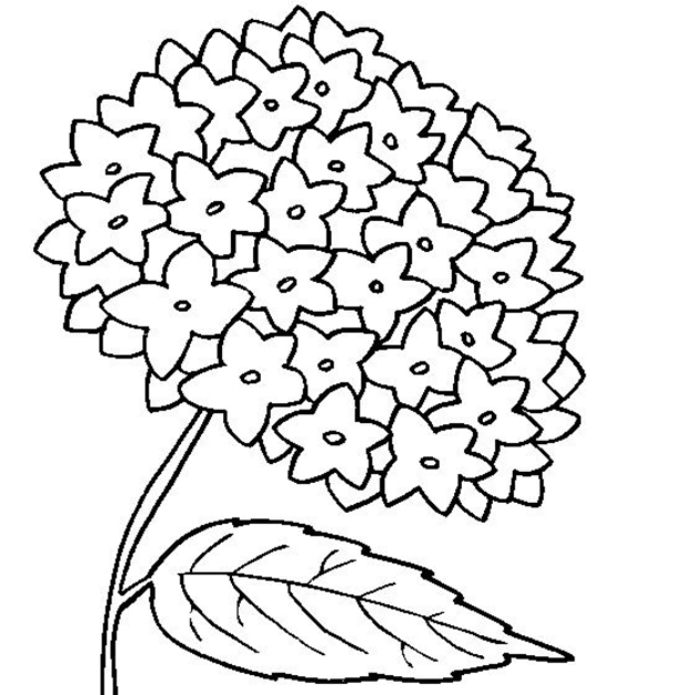 Fiore da colorare stampabile di hornestj su uno stelo