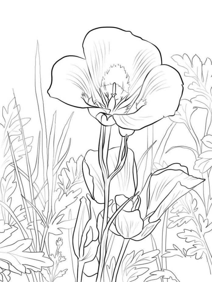 coloring book flower in a meadow