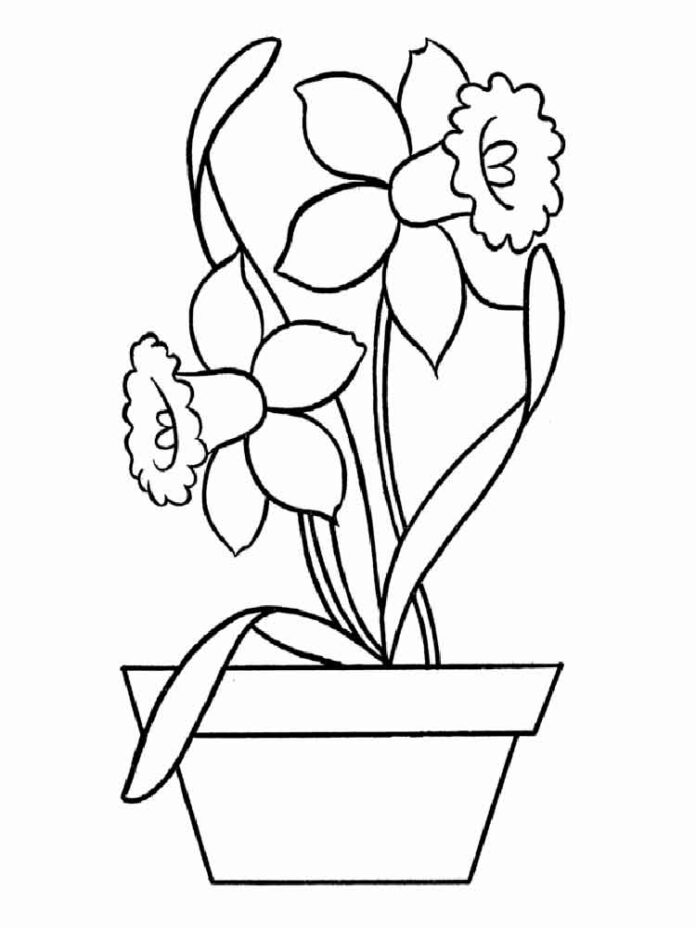 鉢に咲く水仙の花の塗り絵（印刷用