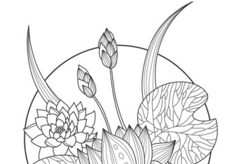 Printable coloring book of lotus flowers in a circle