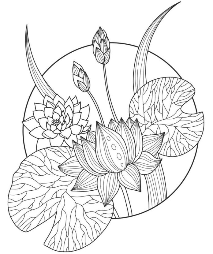 Druckbare Färbung Blatt von Lotusblumen in einem Kreis