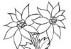 Coloring sheet of ponsacia flowers with stem in a pot decorated with ribbon