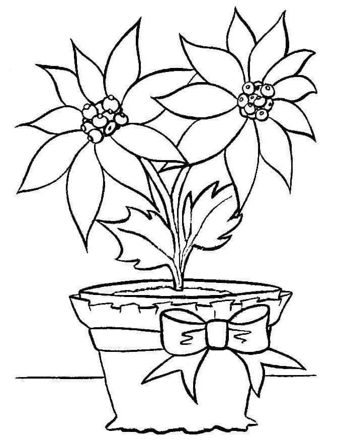 Foglio da colorare di fiori di ponsacia con gambo in un vaso decorato con nastro