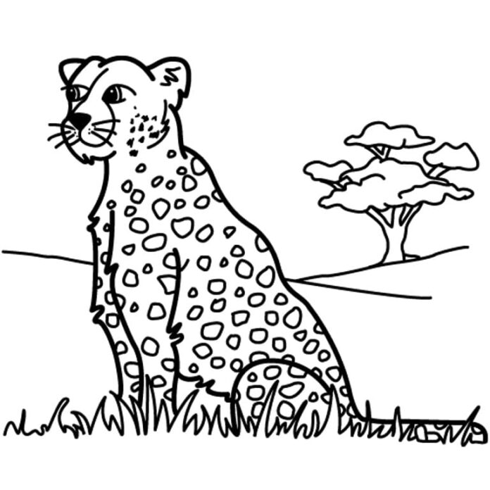 colorear leopardo en safari imprimible