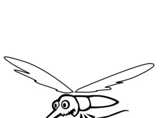 malebog af en flyvende myg over vand