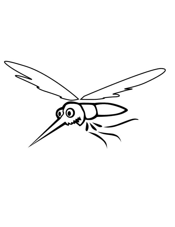 omalovánky létajícího komára nad vodou