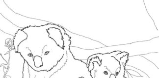 coloring book lazy bears