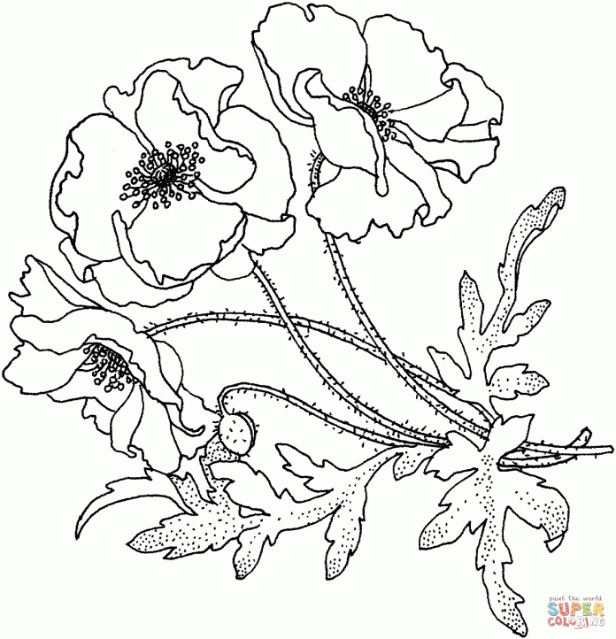 coloring page leafy field flower
