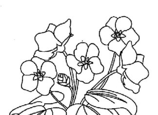 coloring page of leaves covering flowers