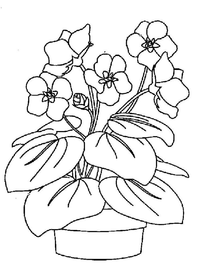 virágokat borító levelek kifestőkönyve