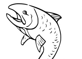 page à colorier saumon qui agite ses nageoires