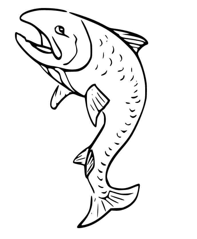 page à colorier saumon qui agite ses nageoires