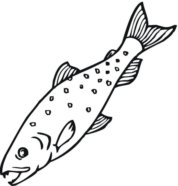 livro de coloração de salmão nadando rio abaixo