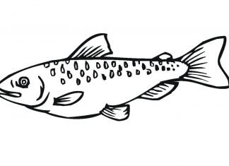 Coloring book salmon with spots on its back printable for boys