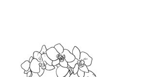 Printable picturesque orchid coloring book