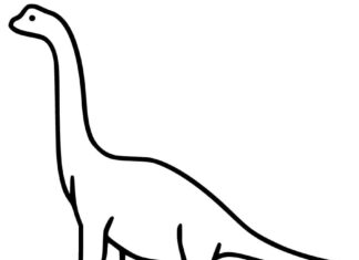 utskrivbar liten brachiosaurus färgbok