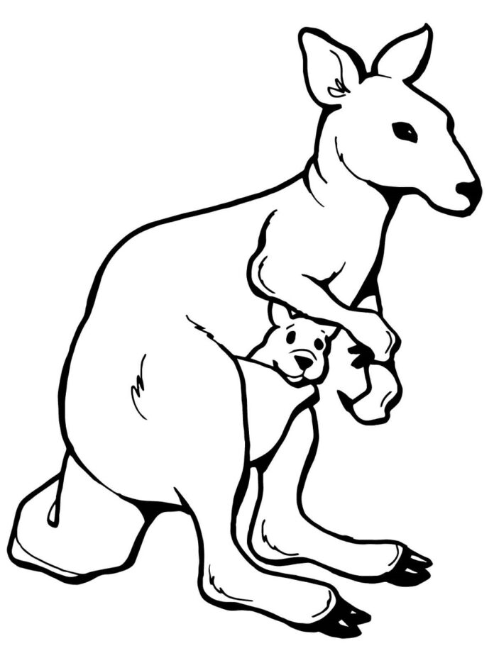 coloring page of a little kangaroo in a bag