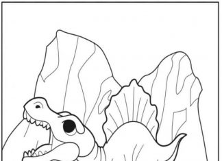 Coloring book of a baby spinosaurus roaring on a rock