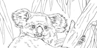 coloriage d'un ours en peluche accroché à un arbre