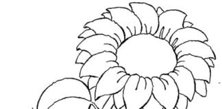 coloring page teddy bear holding a sunflower