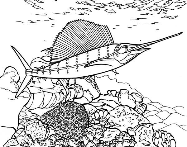 Coloring sheet of a sea creature on a coral reef