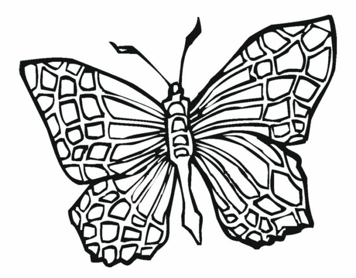 vyfarbovanie motýľa na vytlačenie pre deti