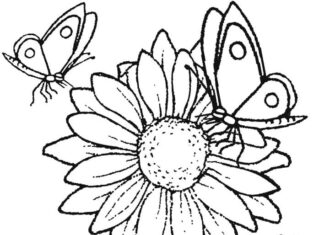 Printable coloring book of butterflies sitting on a sunflower