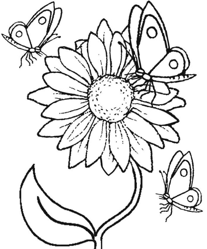 Libro para colorear Mariposas sentadas en un girasol imprimible y en línea