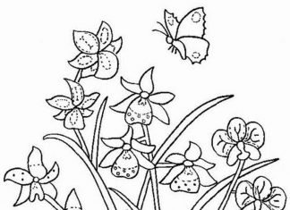 värityskirja, jossa perhonen istuu kukkien päällä