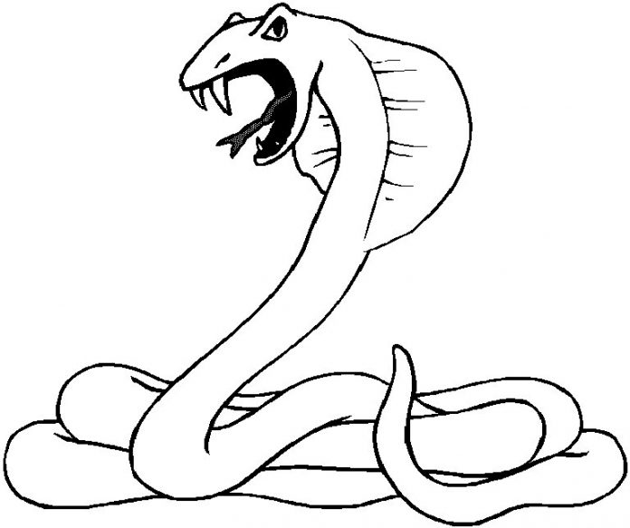 Printable coloring book dangerous king cobra