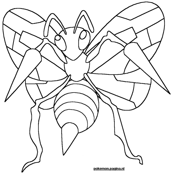 coloring page dangerous insect with spikes