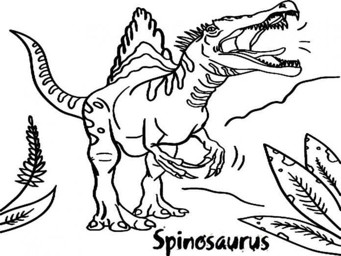 página para colorear peligrosos rugidos de spinosaurio