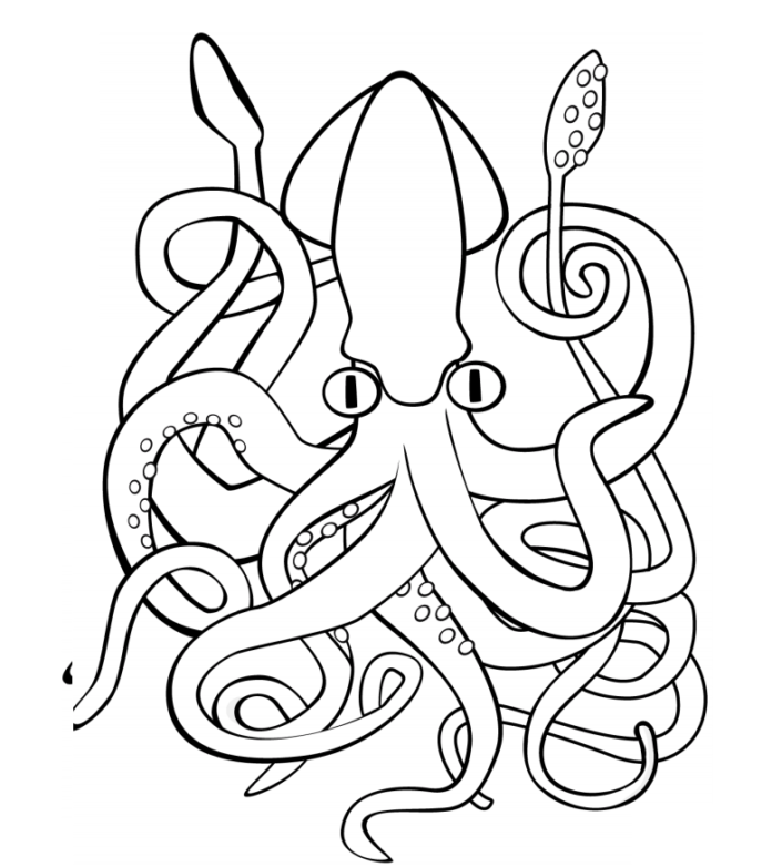 Libro da colorare stampabile di un calamaro gigante con tentacoli avvolgenti