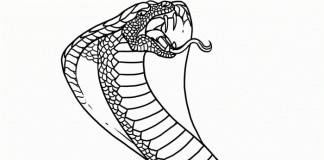 Omalovánky obří kobra útočí k vytisknutí