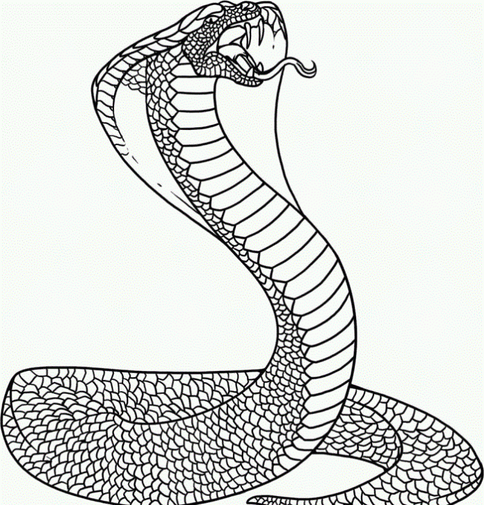 malebog kæmpe cobra angriber printbar