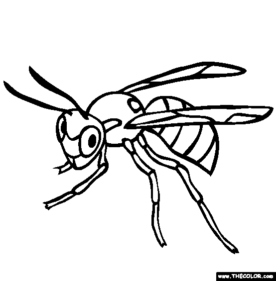 coloring book wasp with feelers