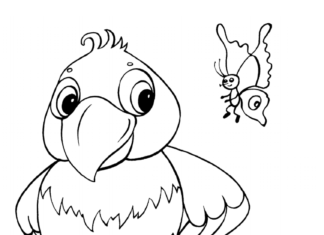 Printable coloring book of a parrot sitting on a branch