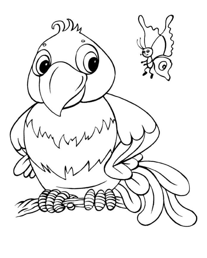 Libro da colorare stampabile di un pappagallo seduto su un ramo