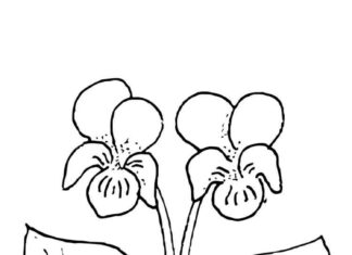 malebog af et par klipede violer
