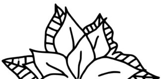colorier une belle fleur de ponsetia avec des feuilles