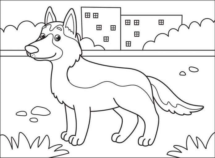 Libro da colorare stampabile del cane pastore tedesco che cammina davanti ai blocchi